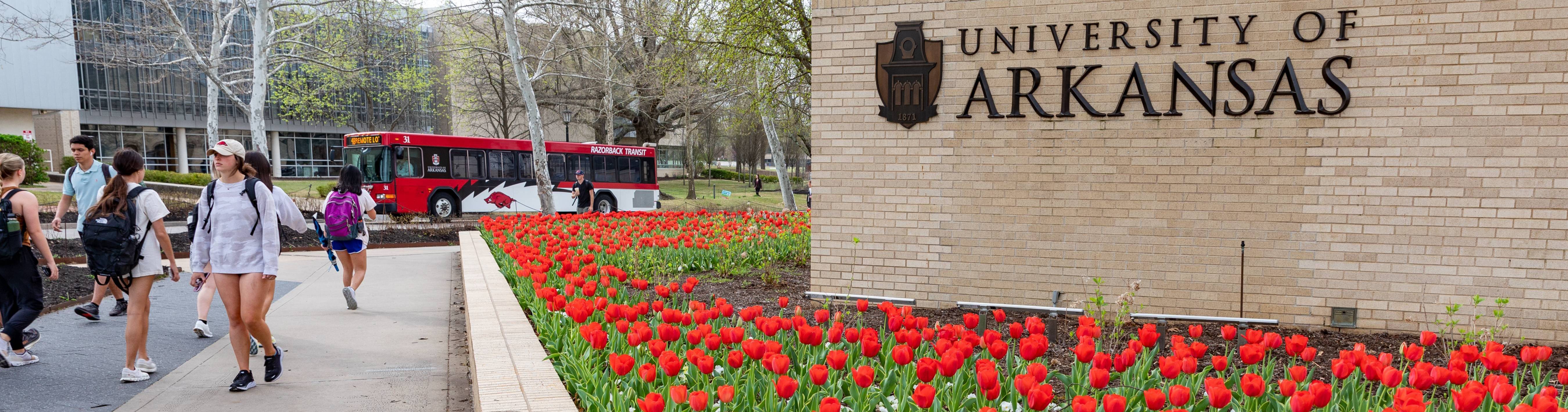 Hero image of students walking on the University of Arkansas campus with a Razorback Transit bus in the background